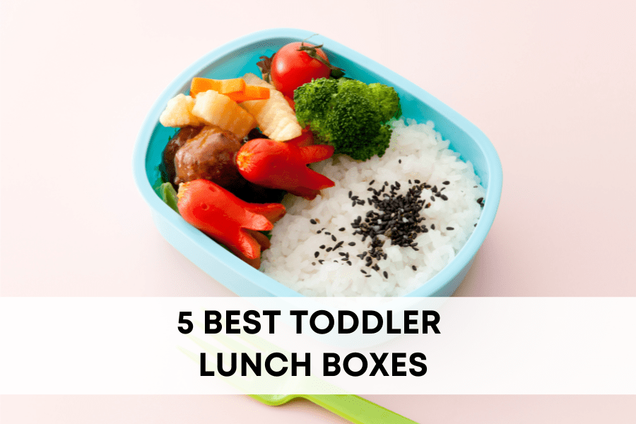 https://hellomamablog.com/wp-content/uploads/2022/06/best-toddler-lunch-boxes.png