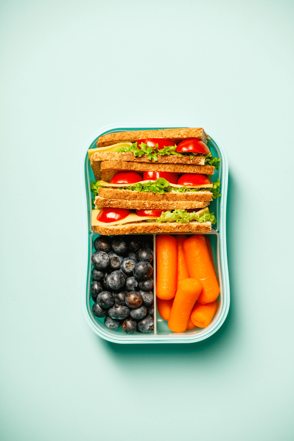The Best 5 Toddler Lunch Boxes of 2023 - hellomamablog.com